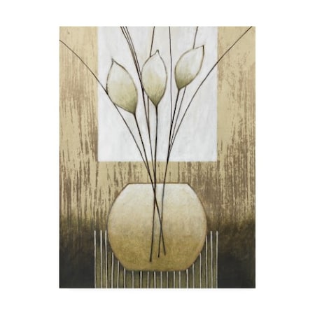 Pablo Esteban 'White And Tan Floral Abstract' Canvas Art,24x32